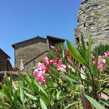 Farm stay Agriturismo Badia Ficarolo *